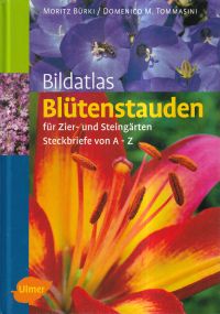 Bürki, Bildatlas Blütenstauden für Zier- und Steingärten. (Umschlag)